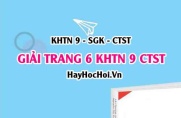 Giải KHTN 9 trang 6 Chân trời sáng tạo SGK